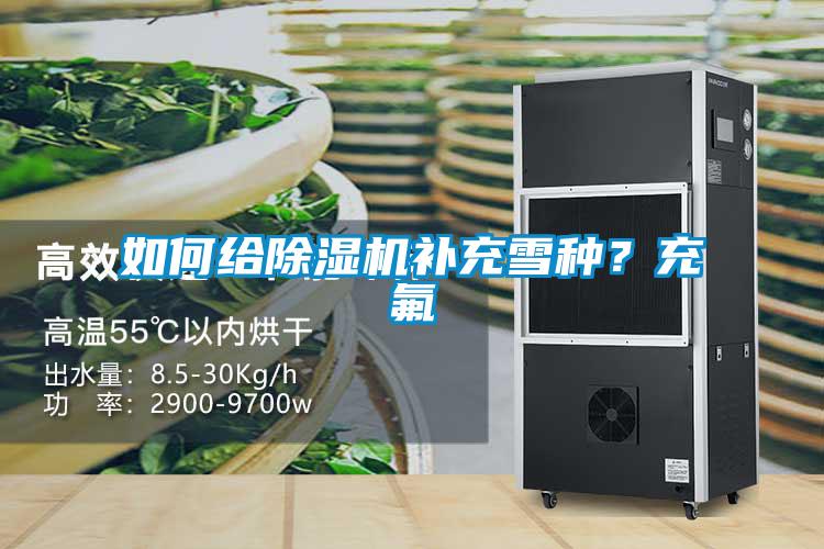 如何給91看片在线下载機補充雪種？充氟