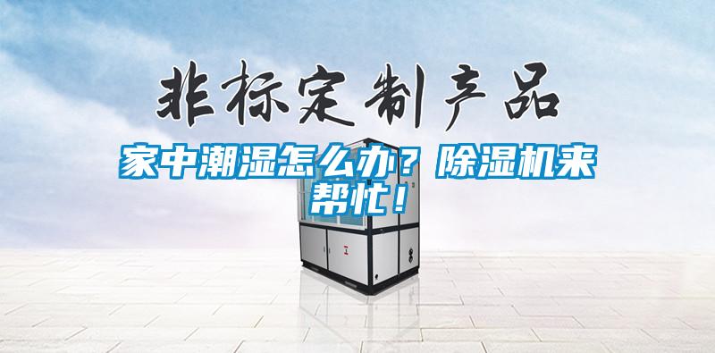 家中潮濕怎麽辦？91看片在线下载機來幫忙！