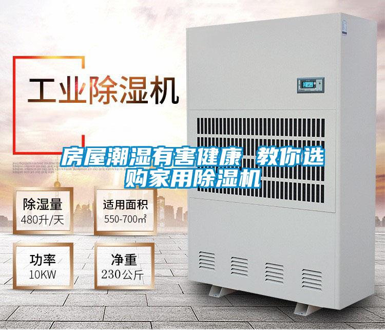 房屋潮濕有害健康 教你選購家用91看片在线下载機