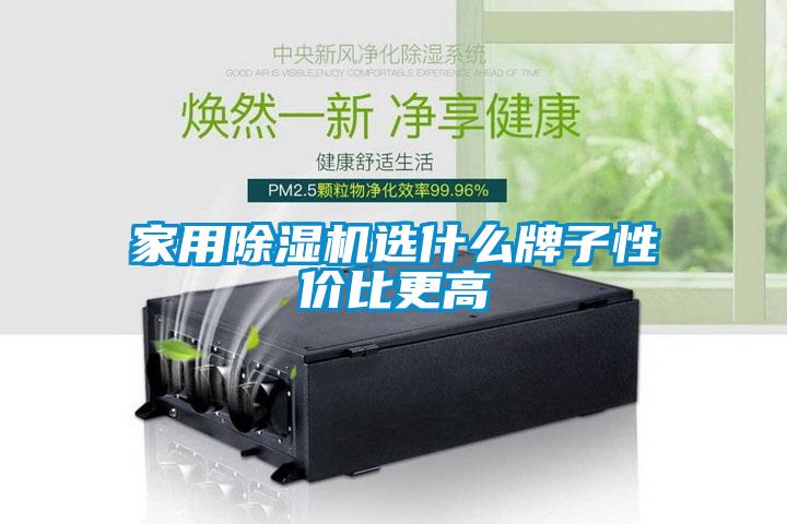 家用91看片在线下载機選什麽牌子性價比更高