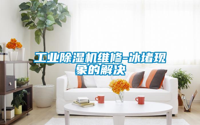 工業91看片在线下载機維修-冰堵現象的解決