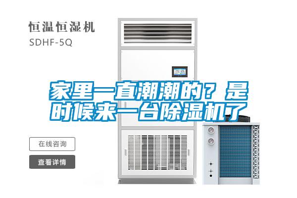 家裏一直潮潮的？是時候來一台91看片在线下载機了