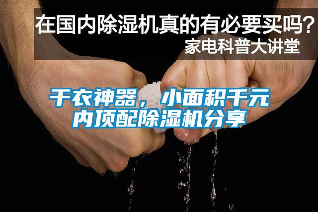 幹衣神器，小麵積千元內頂配91看片在线下载機分享