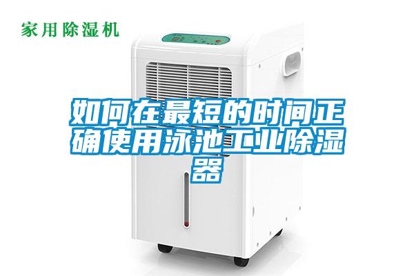 如何在最短的時間正確使用泳池工業91看片在线下载器