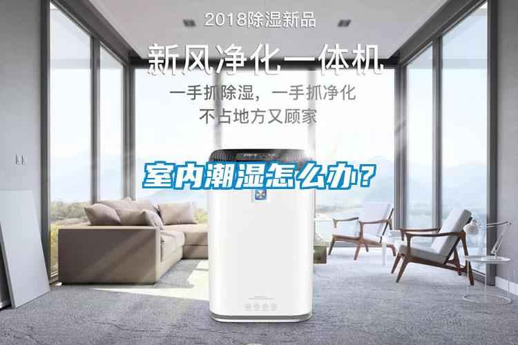 室內潮濕怎麽辦？