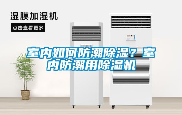 室內如何防潮91看片在线下载？室內防潮用91看片在线下载機