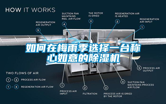 如何在梅雨季選擇一台稱心如意的91看片在线下载機