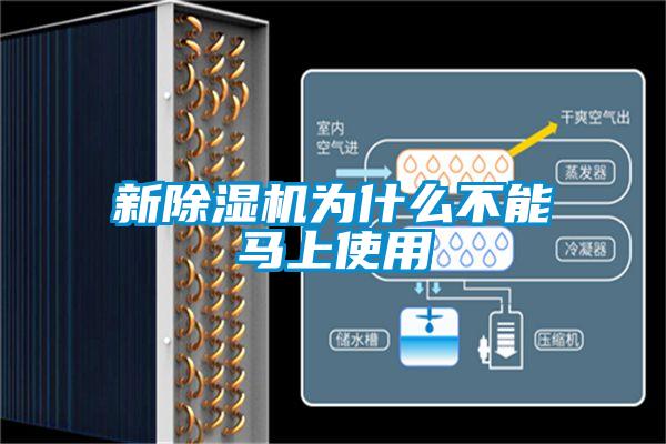 新91看片在线下载機為什麽不能馬上使用