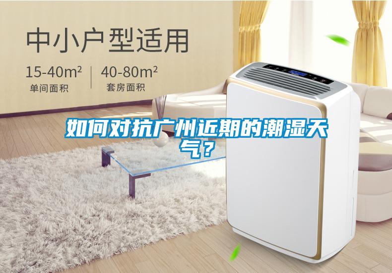 如何對抗廣州近期的潮濕天氣？