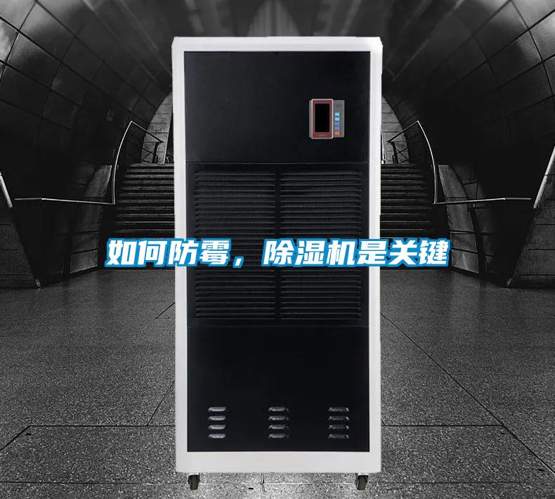 如何防黴，91看片在线下载機是關鍵