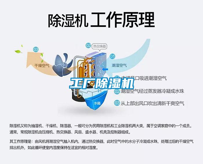 工廠91看片在线下载機