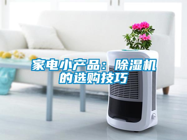 家電小產品：91看片在线下载機的選購技巧