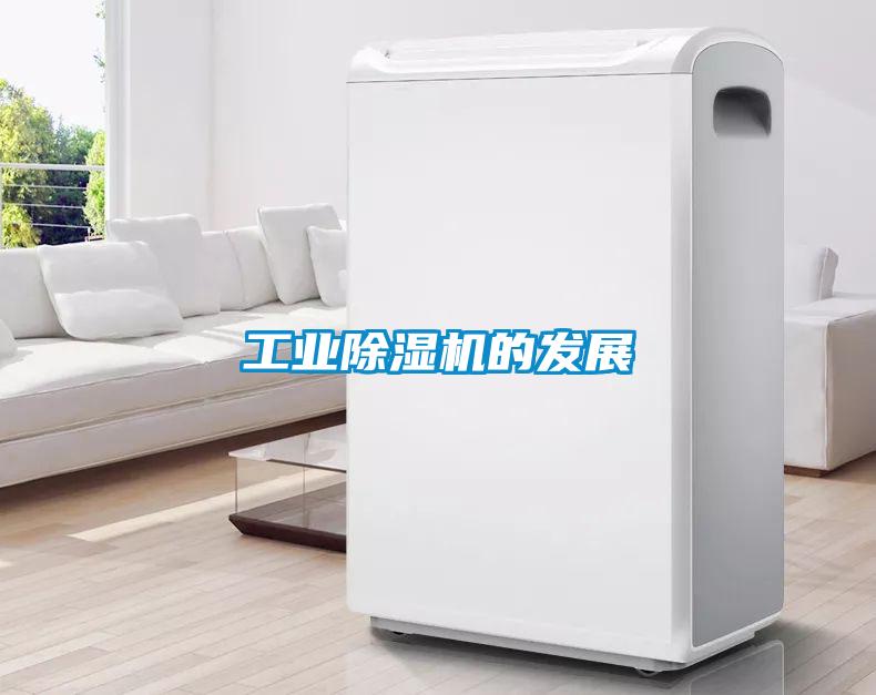 工業91看片在线下载機的發展