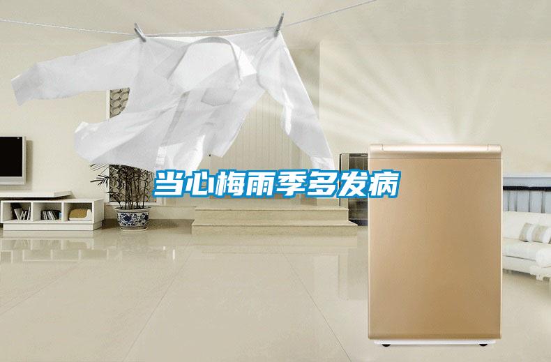 當心梅雨季多發病