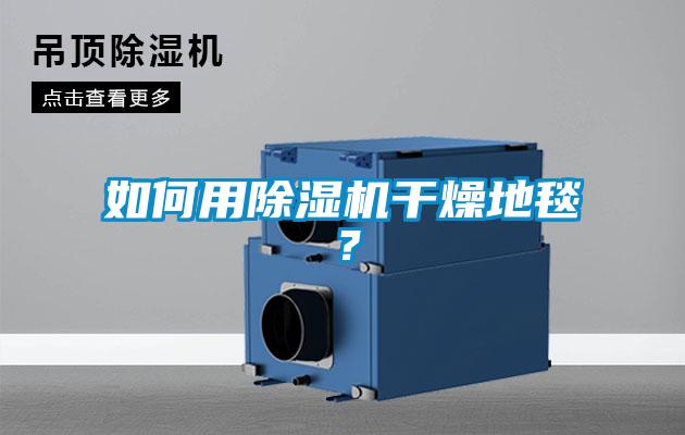如何用91看片在线下载機幹燥地毯？