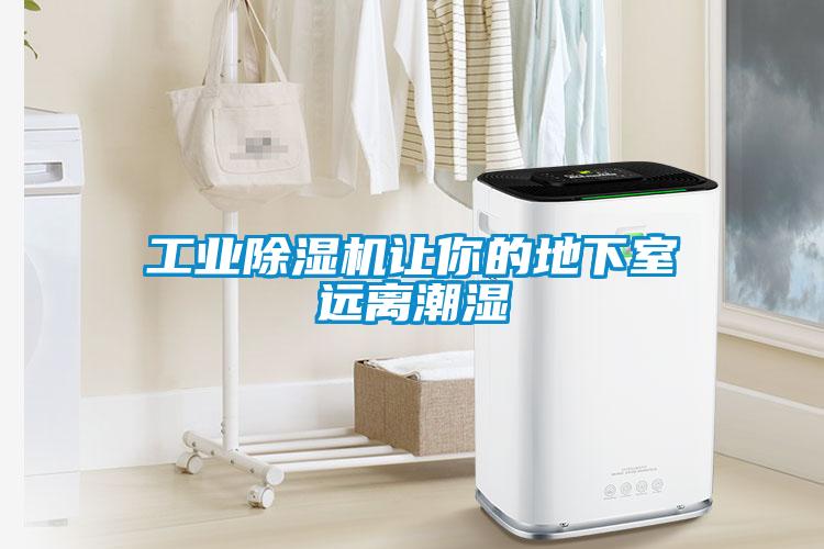 工業91看片在线下载機讓你的地下室遠離潮濕