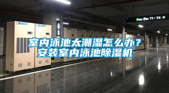 室內泳池太潮濕怎麽辦？安裝室內泳池91看片在线下载機