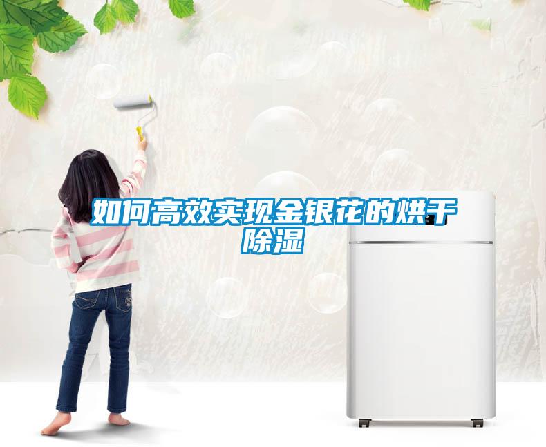如何高效實現金銀花的烘幹91看片在线下载