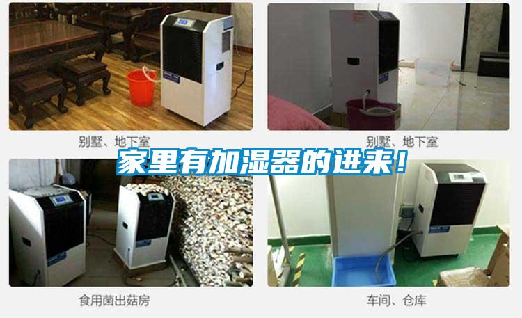家裏有加濕器的進來！