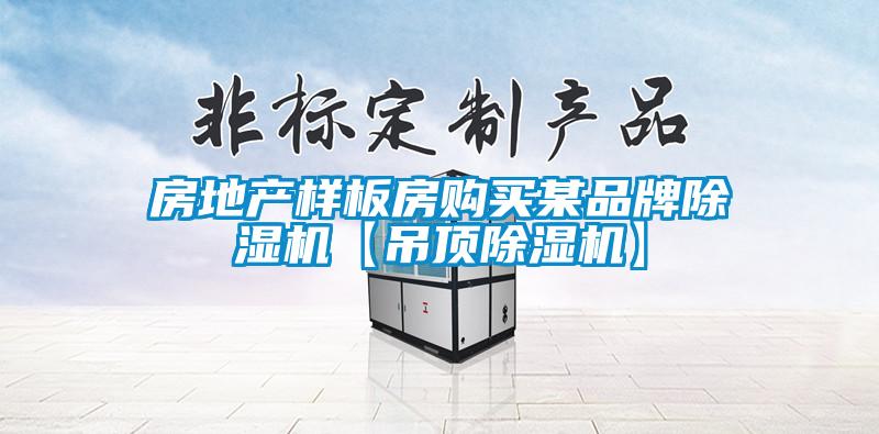 房地產樣板房購買某品牌91看片在线下载機【吊頂91看片在线下载機】