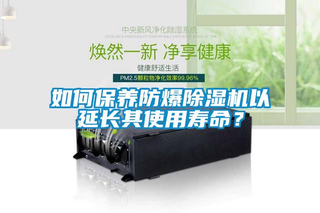 如何保養防爆91看片在线下载機以延長其使用壽命？