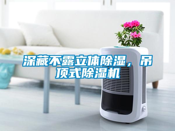 深藏不露立體91看片在线下载，吊頂式91看片在线下载機