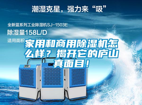 家用和商用91看片在线下载機怎麽樣？揭開它的廬山真麵目！