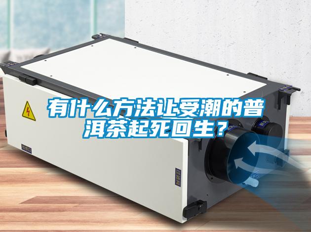 有什麽方法讓受潮的普洱茶起死回生？