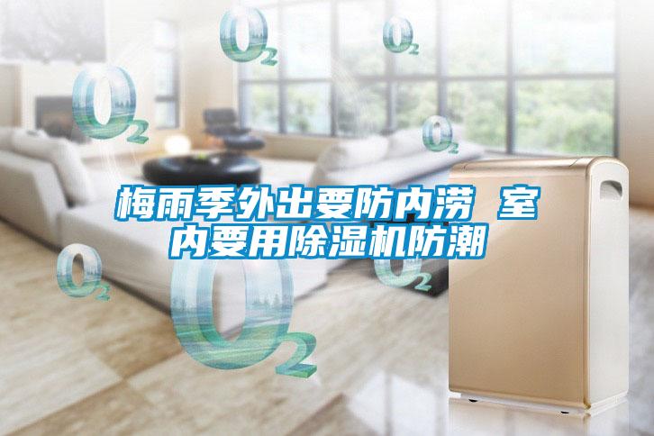 梅雨季外出要防內澇 室內要用91看片在线下载機防潮