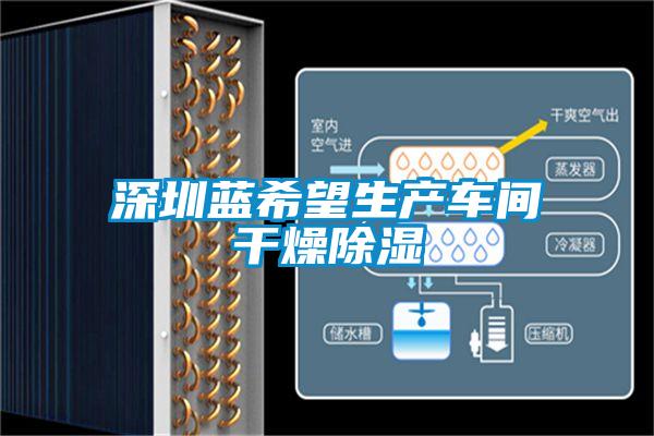 深圳藍希望生產車間幹燥91看片在线下载