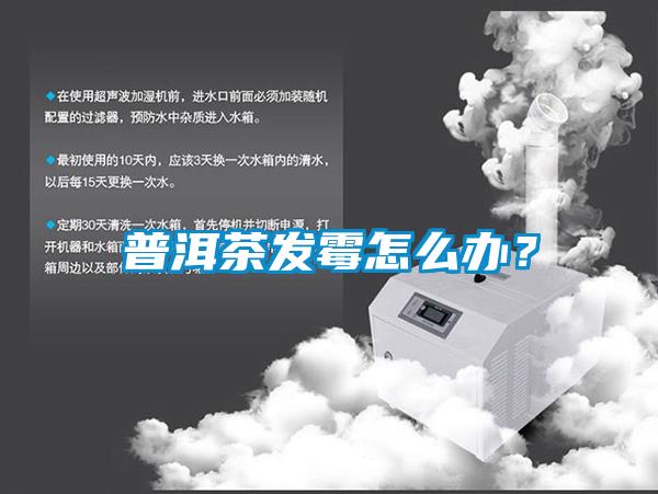 普洱茶發黴怎麽辦？