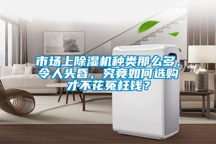市場上91看片在线下载機種類那麽多，令人頭昏，究竟如何選購才不花冤枉錢？