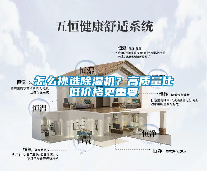 怎麽挑選91看片在线下载機？高質量比低價格更重要