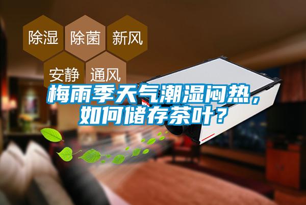 梅雨季天氣潮濕悶熱，如何儲存茶葉？