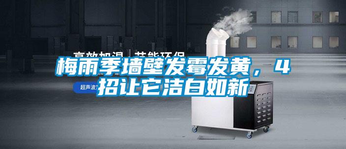梅雨季牆壁發黴發黃，4招讓它潔白如新