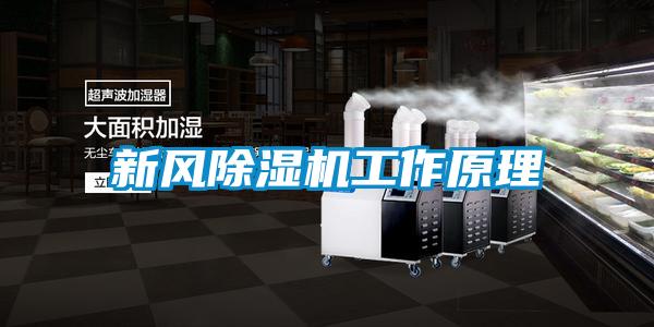 新風91看片在线下载機工作原理