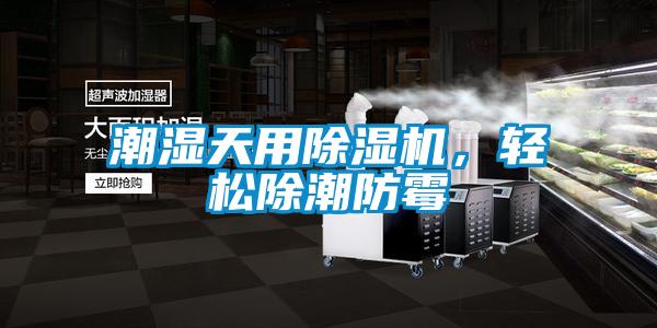 潮濕天用91看片在线下载機，輕鬆除潮防黴