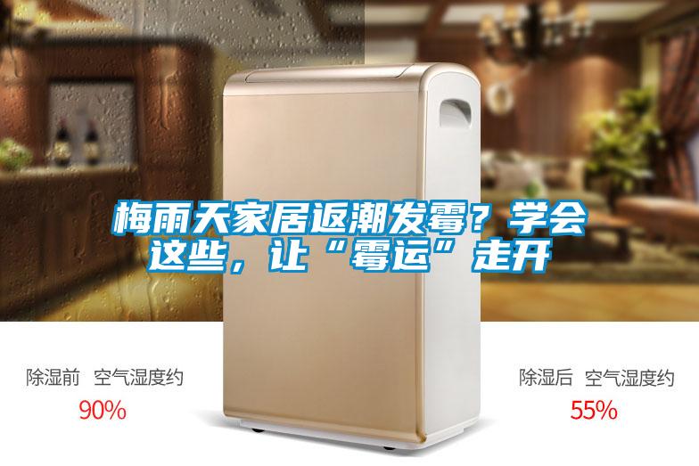 梅雨天家居返潮發黴？學會這些，讓“黴運”走開
