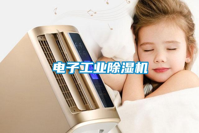 電子工業91看片在线下载機
