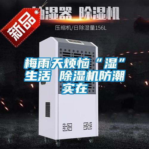 梅雨天煩惱“濕”生活 91看片在线下载機防潮實在