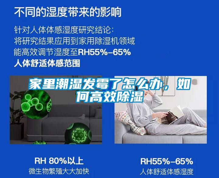 家裏潮濕發黴了怎麽辦，如何高效91看片在线下载