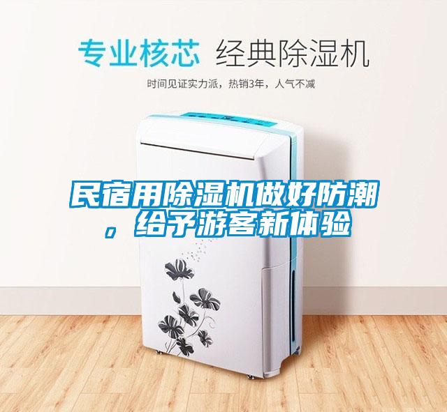 民宿用91看片在线下载機做好防潮，給予遊客新體驗
