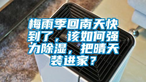 梅雨季回南天快到了，該如何強力91看片在线下载，把晴天裝進家？