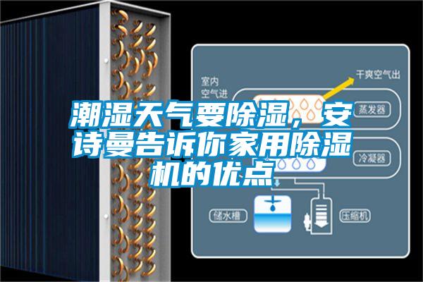 潮濕天氣要91看片在线下载，91免费看片APP告訴你家用91看片在线下载機的優點
