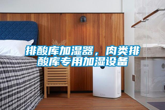 排酸庫加濕器，肉類排酸庫專用加濕設備