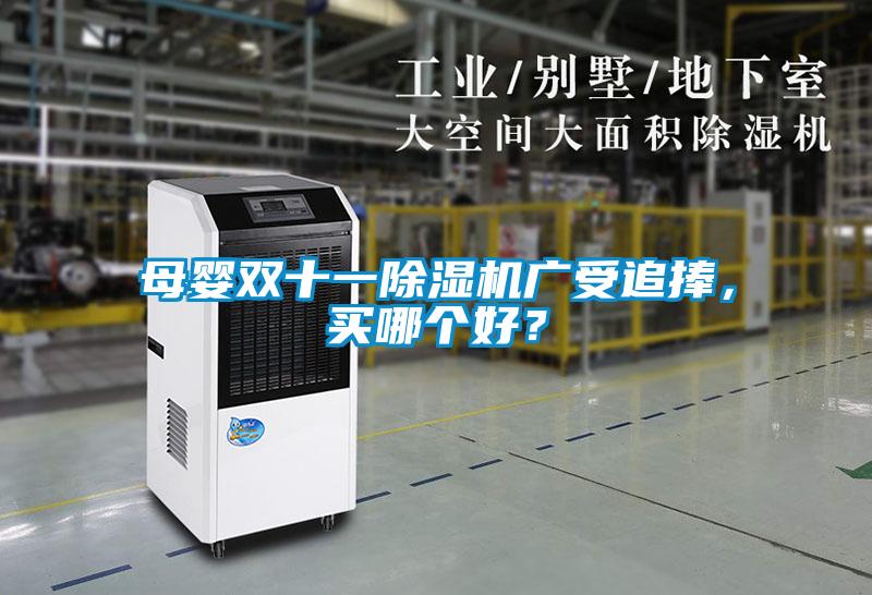 母嬰雙十一91看片在线下载機廣受追捧，買哪個好？