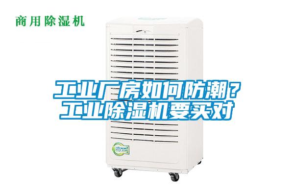 工業廠房如何防潮？工業91看片在线下载機要買對