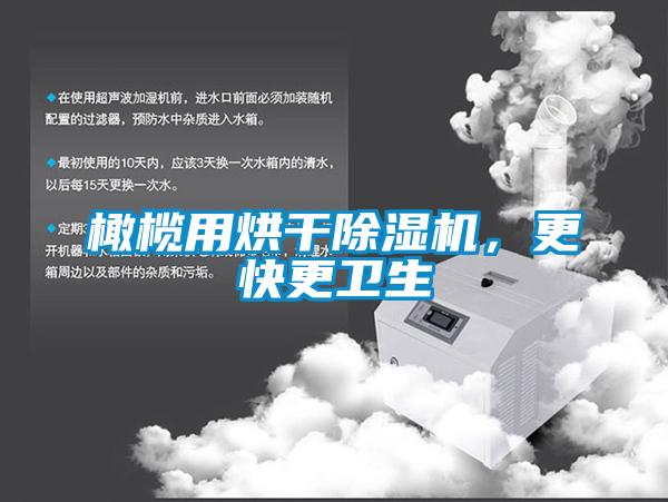 橄欖用烘幹91看片在线下载機，更快更衛生