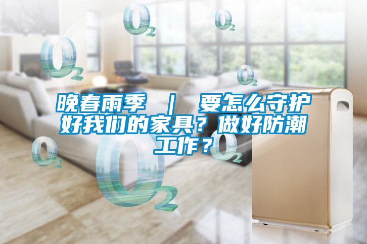 晚春雨季 ｜ 要怎麽守護好91免费看片APP的家具？做好防潮工作？