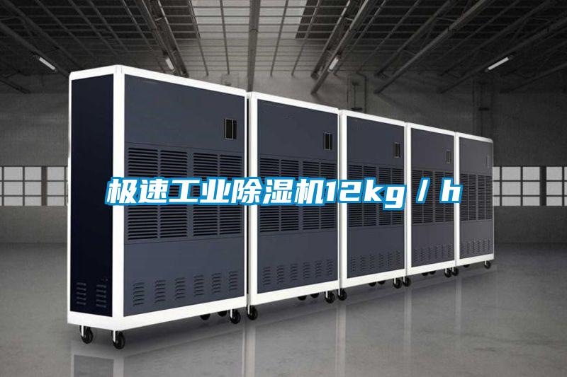 極速工業91看片在线下载機12kg／h